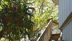 Een houten trap die leidt naar een veranda met uitzicht op een tuin en bomen.