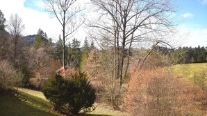 A natural landscape with trees, shrubs, and a grassy field. - Allgäu Family Retreat (Nesselwang-Reichenbach)
