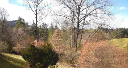 Escapada familiar con piscina