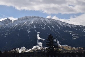 Surrounded by a dense forest and rugged mountain terrain, this serene landscape offers breathtaking views of a snow-capped peak.