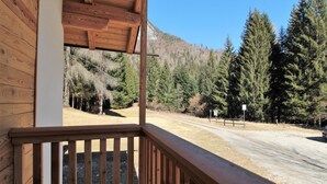 A wooden cabin with a porch overlooking a forested area and a dirt road.