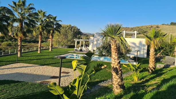 A modern house with a swimming pool, surrounded by palm trees and a well-maintained lawn.