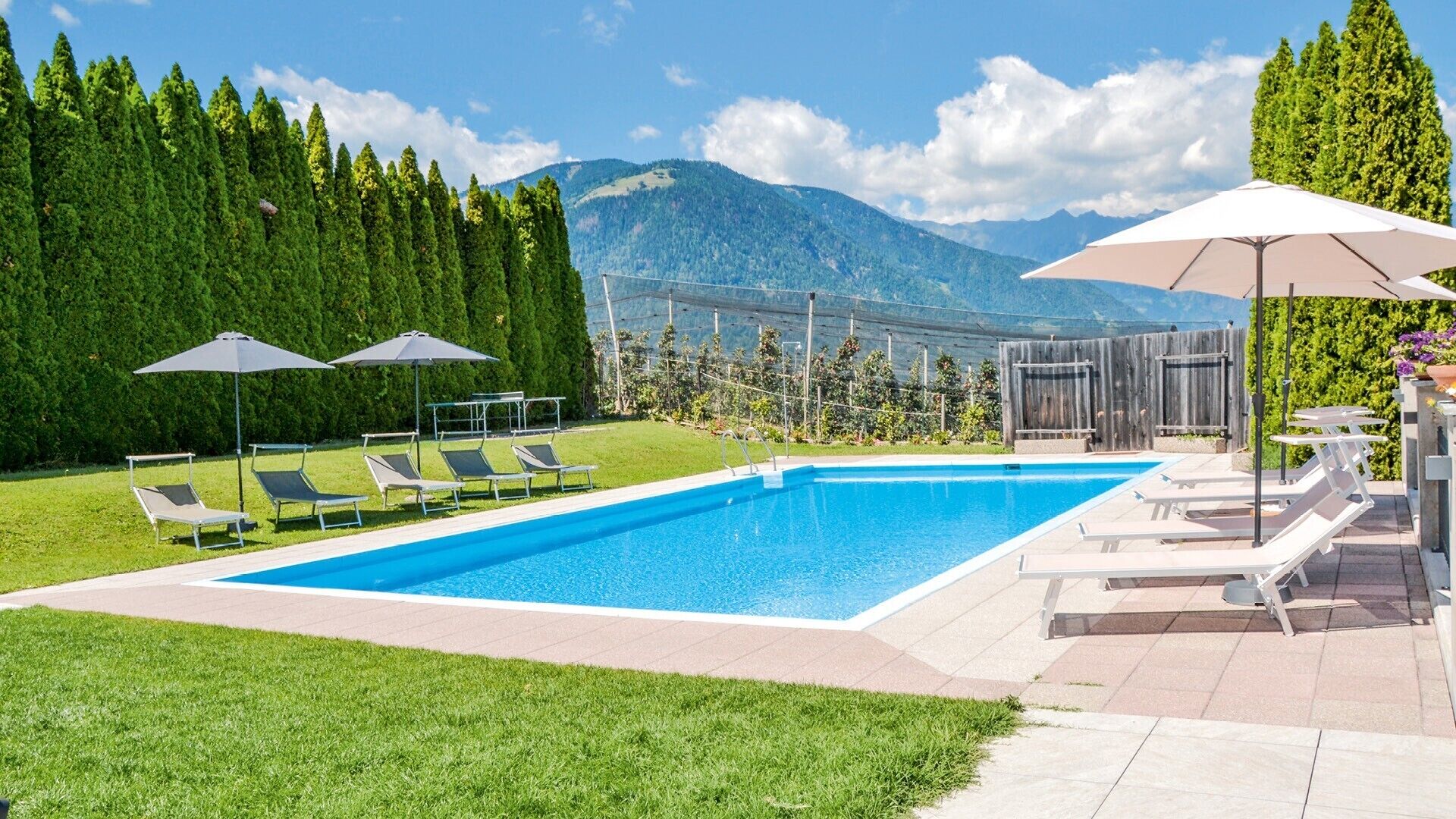 A rectangular swimming pool with lounge chairs and umbrellas, surrounded by a well-maintained lawn and a wooden fence.