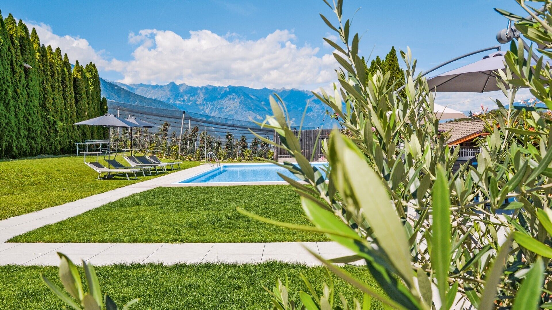 A swimming pool with a view of mountains, surrounded by grass and trees.