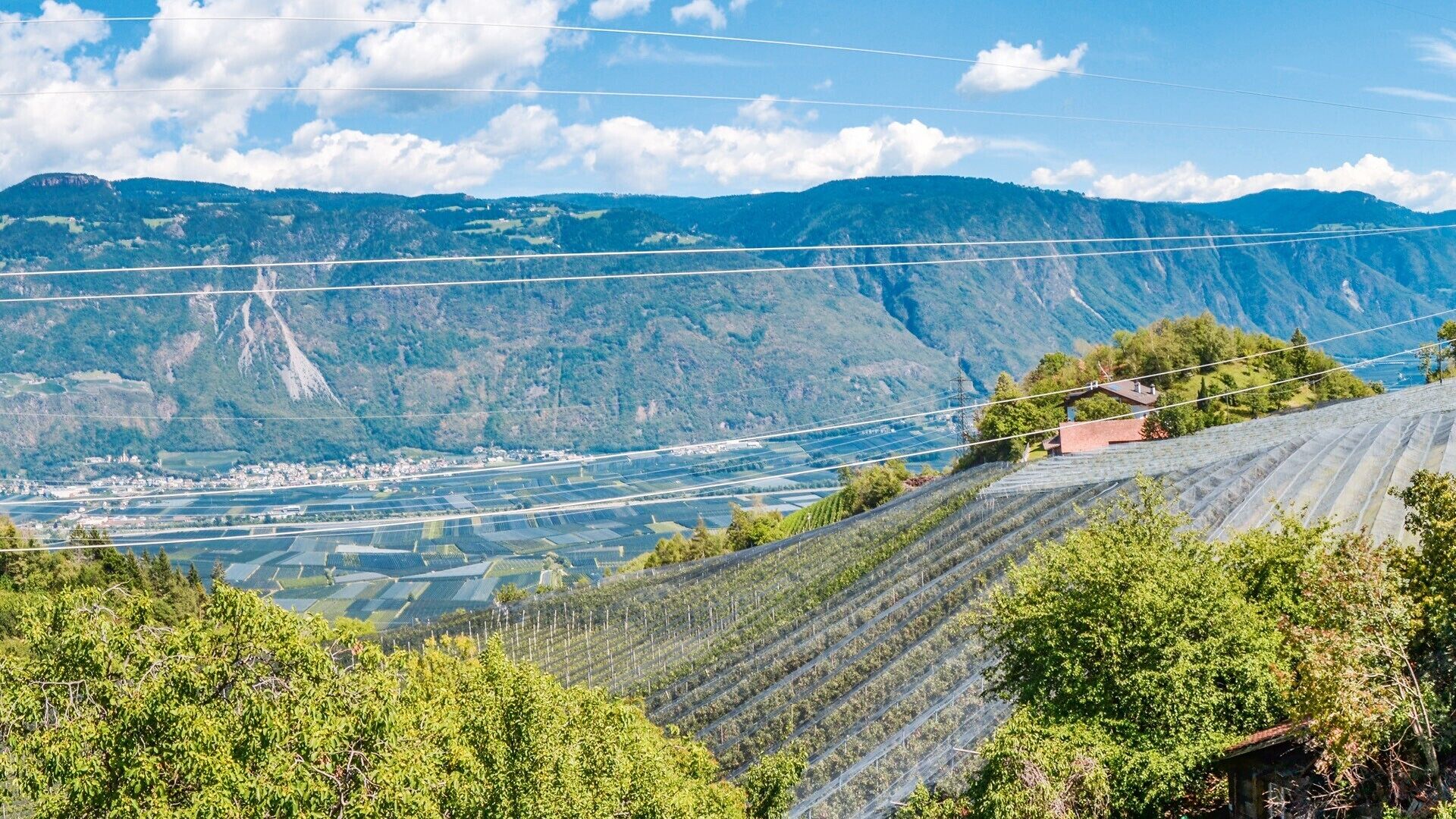 Un paysage montagneux avec des vignobles en terrasses, un petit bâtiment et une ville située au loin.