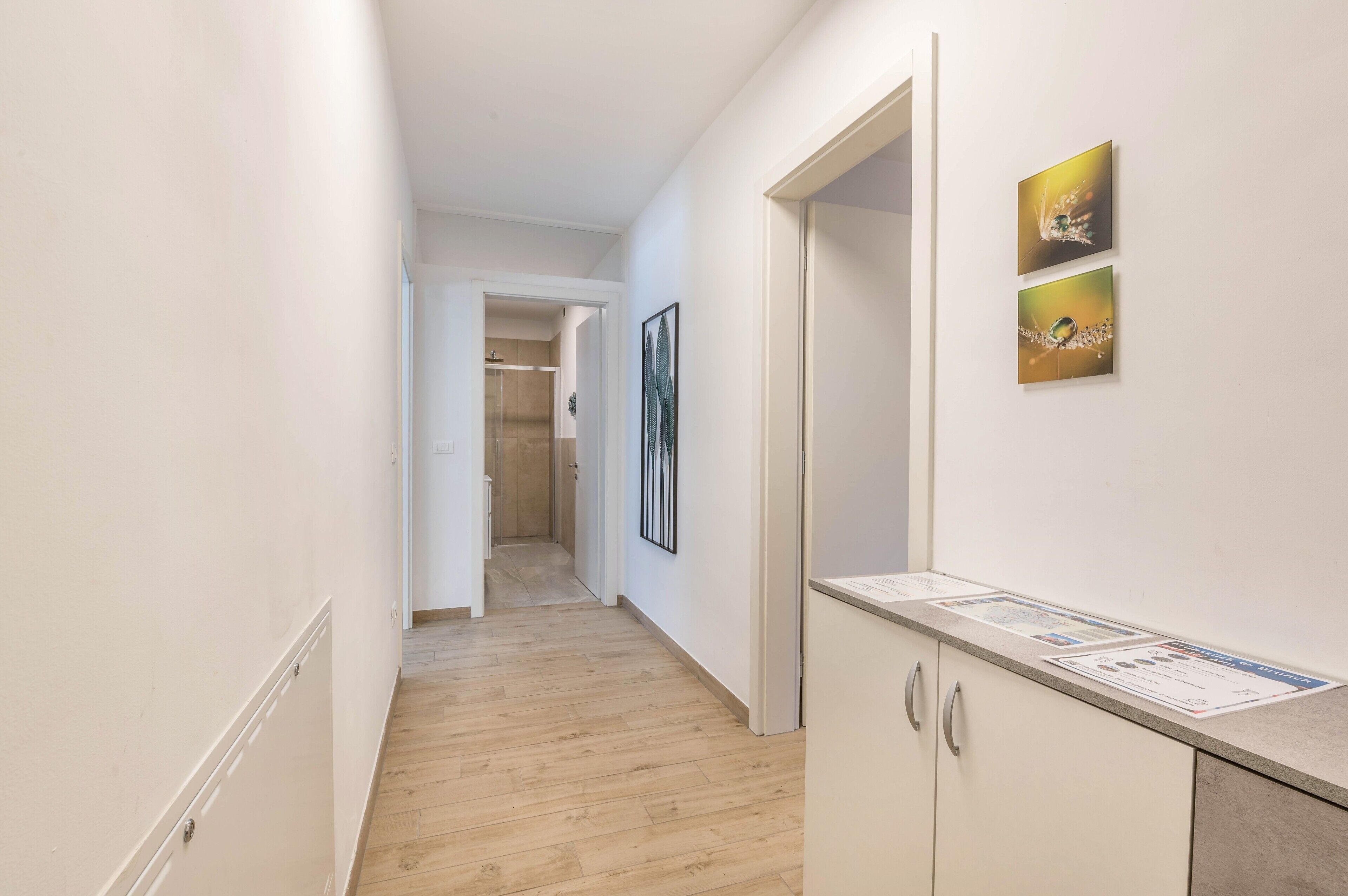 A hallway with a wooden floor, white walls, a door, and two framed artworks.