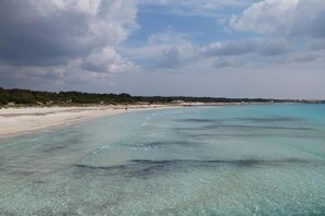 A beach with clear shallow waters, a sandy shore, and a distant tree line.