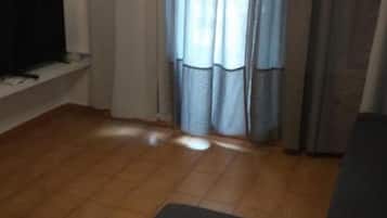 电视