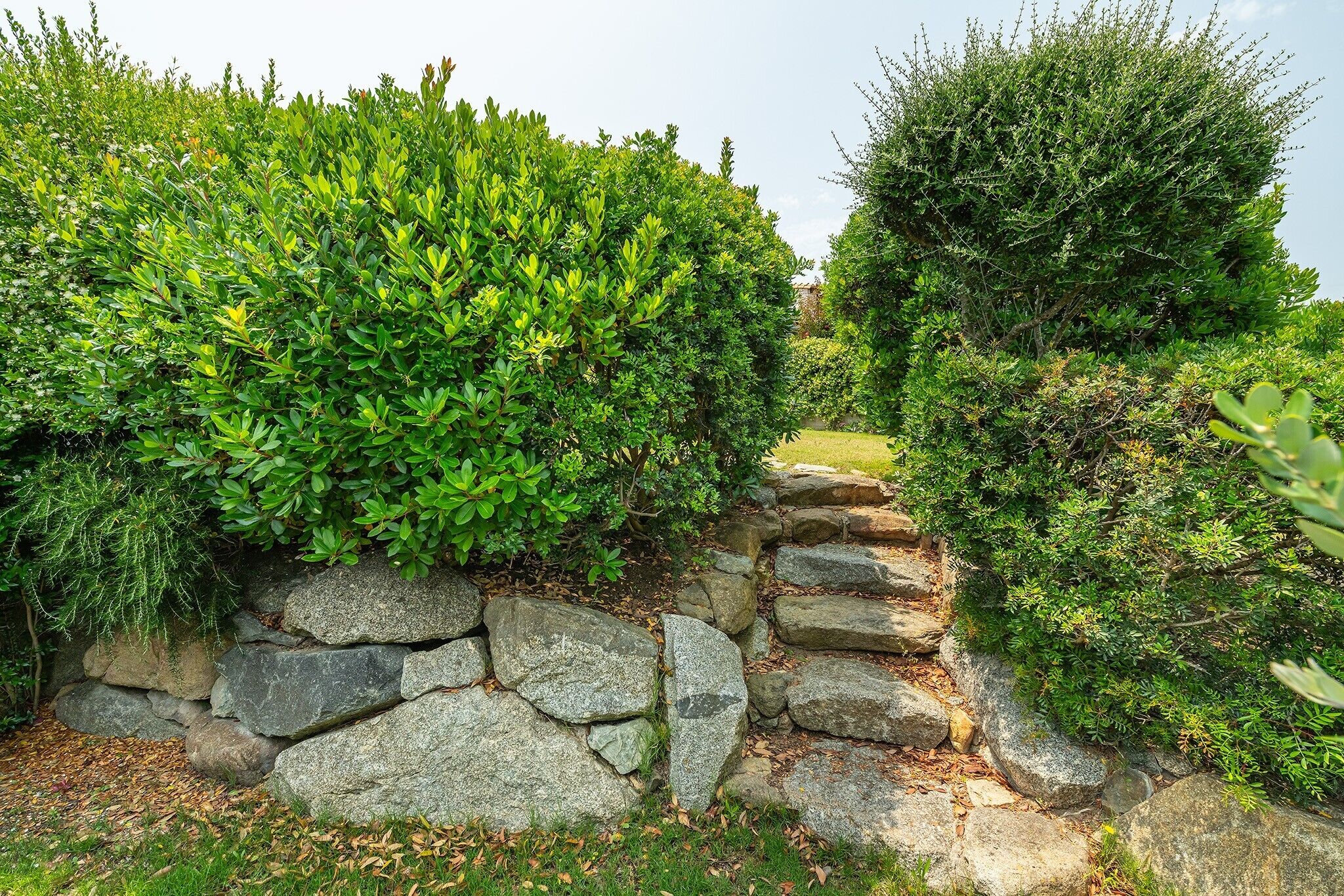 Parco della struttura