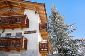Detalle del exterior