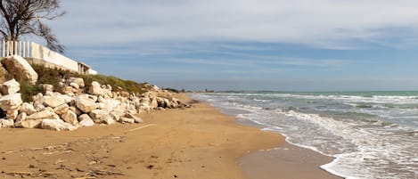 Playa en los alrededores