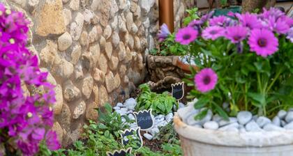 Holiday Home 'Loft Le Palme' with Private Terrace, Wi-Fi and Air Conditioning