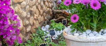 Holiday Home 'Loft Le Palme' with Private Terrace, Wi-Fi and Air Conditioning