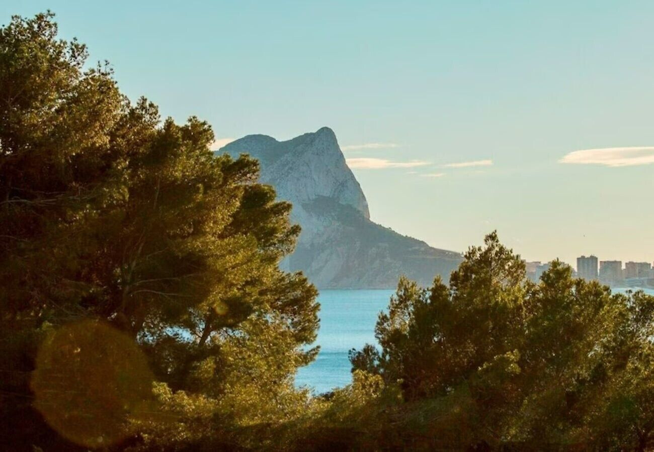 Eine Küstenlandschaft mit Bäumen, einem Berg und einem Gewässer.