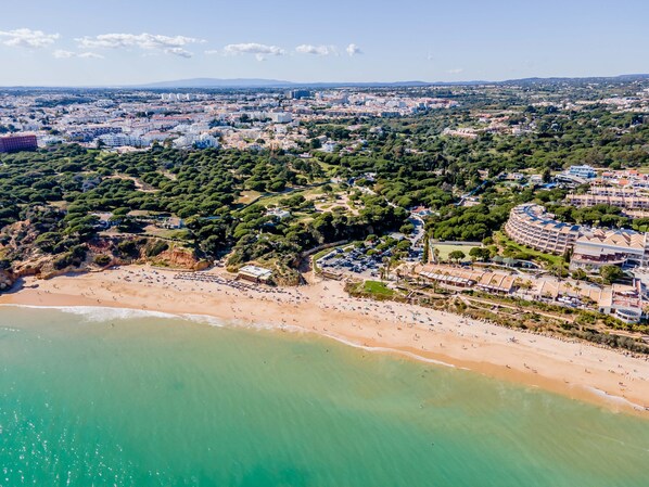 An aerial view of a coastal city with a beach, dense greenery, and residential buildings.