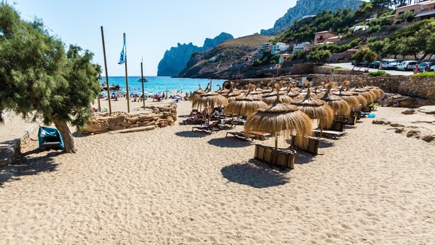 A beach with thatched umbrellas, a clear blue sea, and a rocky cliff. - Apartment LLenaire in Puerto Pollensa by Home Villas 360 (Puerto Pollensa)