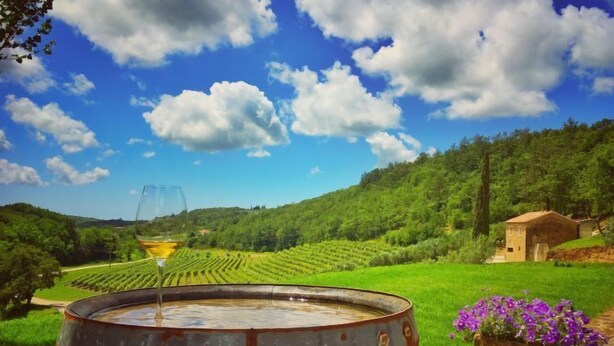 Un vignoble avec des rangées de vignes, une barrique rustique et un verre de vin.
