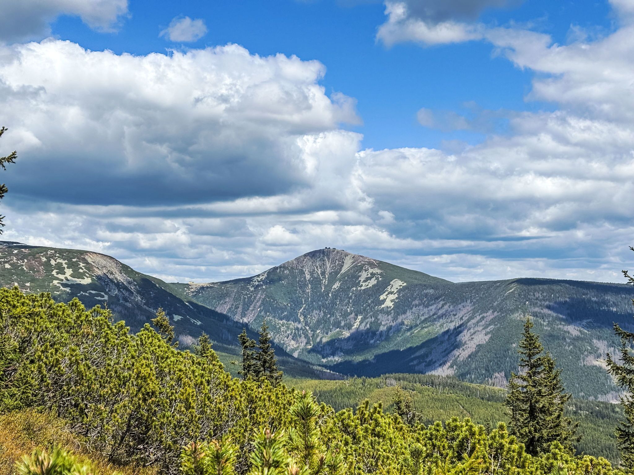 A mountainous landscape with dense forests in the foreground and a prominent peak in the background.
