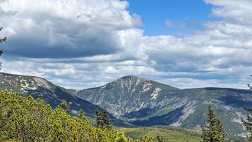A mountainous landscape with dense forests in the foreground and a prominent peak in the background.