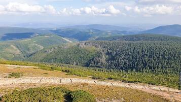 A mountainous landscape with dense forests and a clear sky.