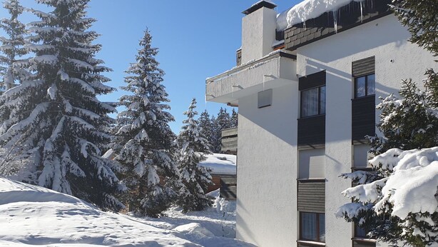 Un edificio moderno con tejado nevado y árboles circundantes.