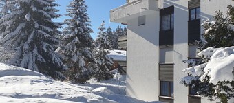 Uehlinger Seegarten Wirz by Interhome