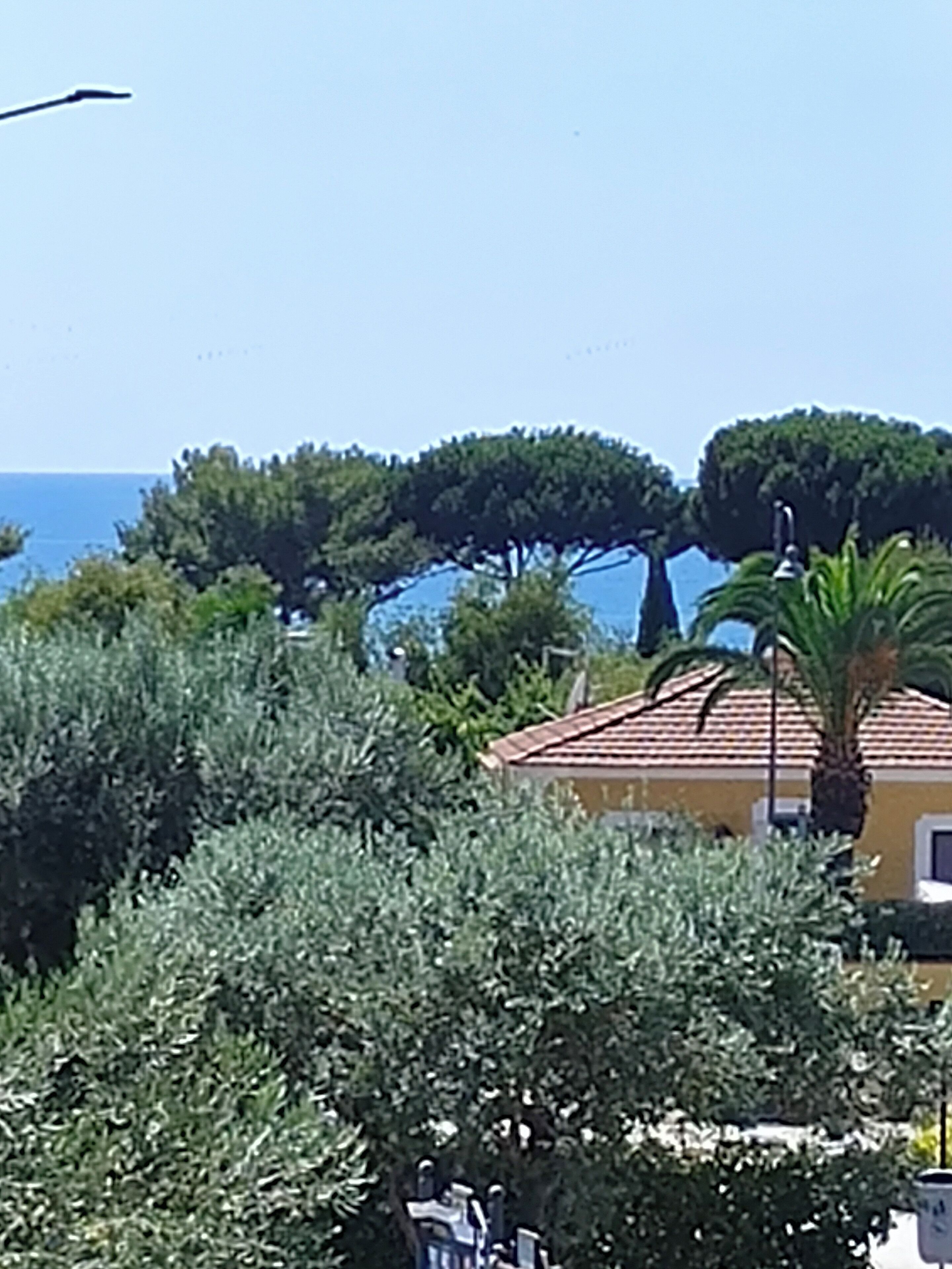 A house with a tiled roof, surrounded by dense greenery and a clear blue sky.