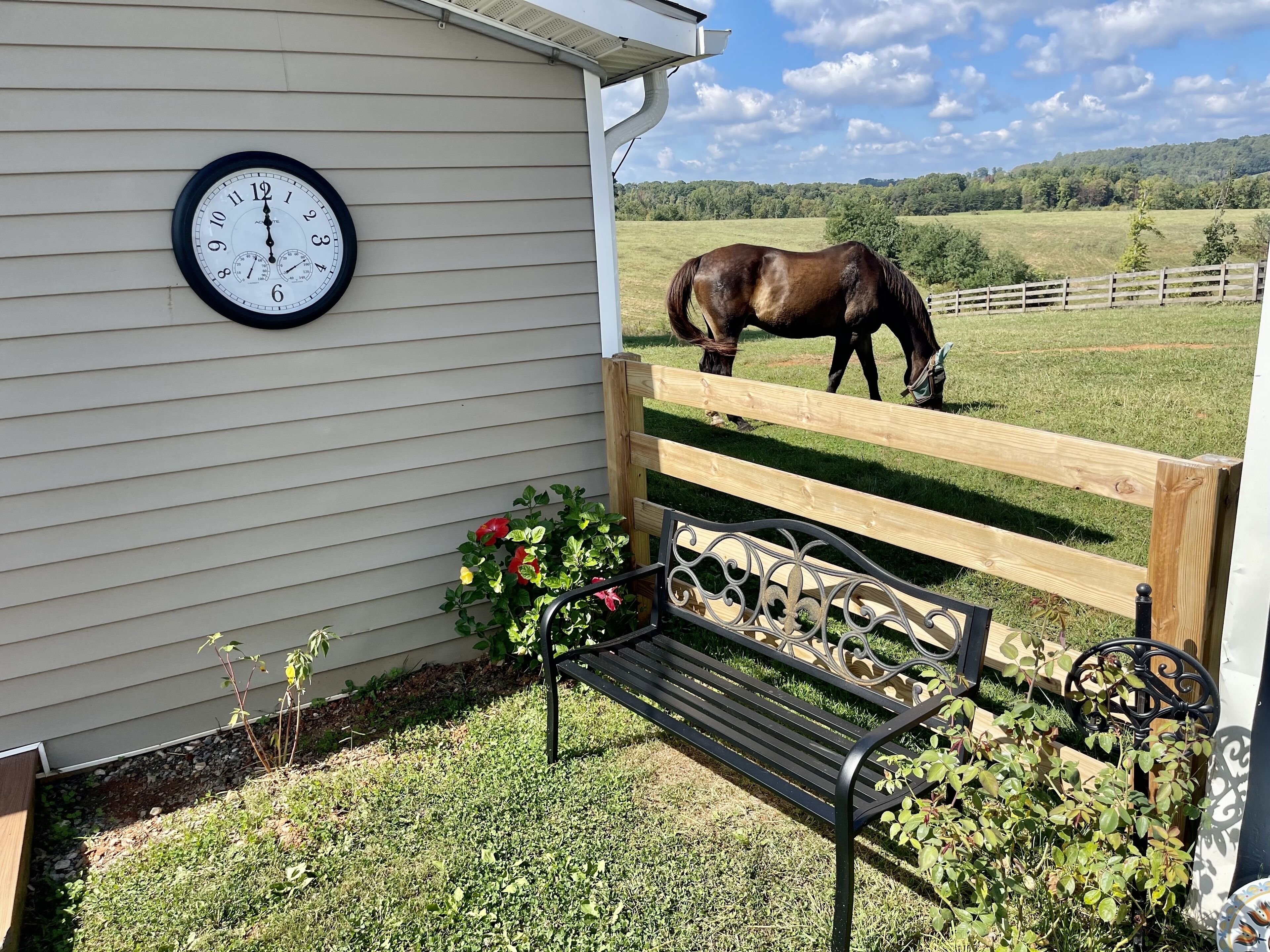 Private Farm Cottage surrounded by fields,  farm animals & mountain views.