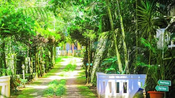 蠻荒體驗