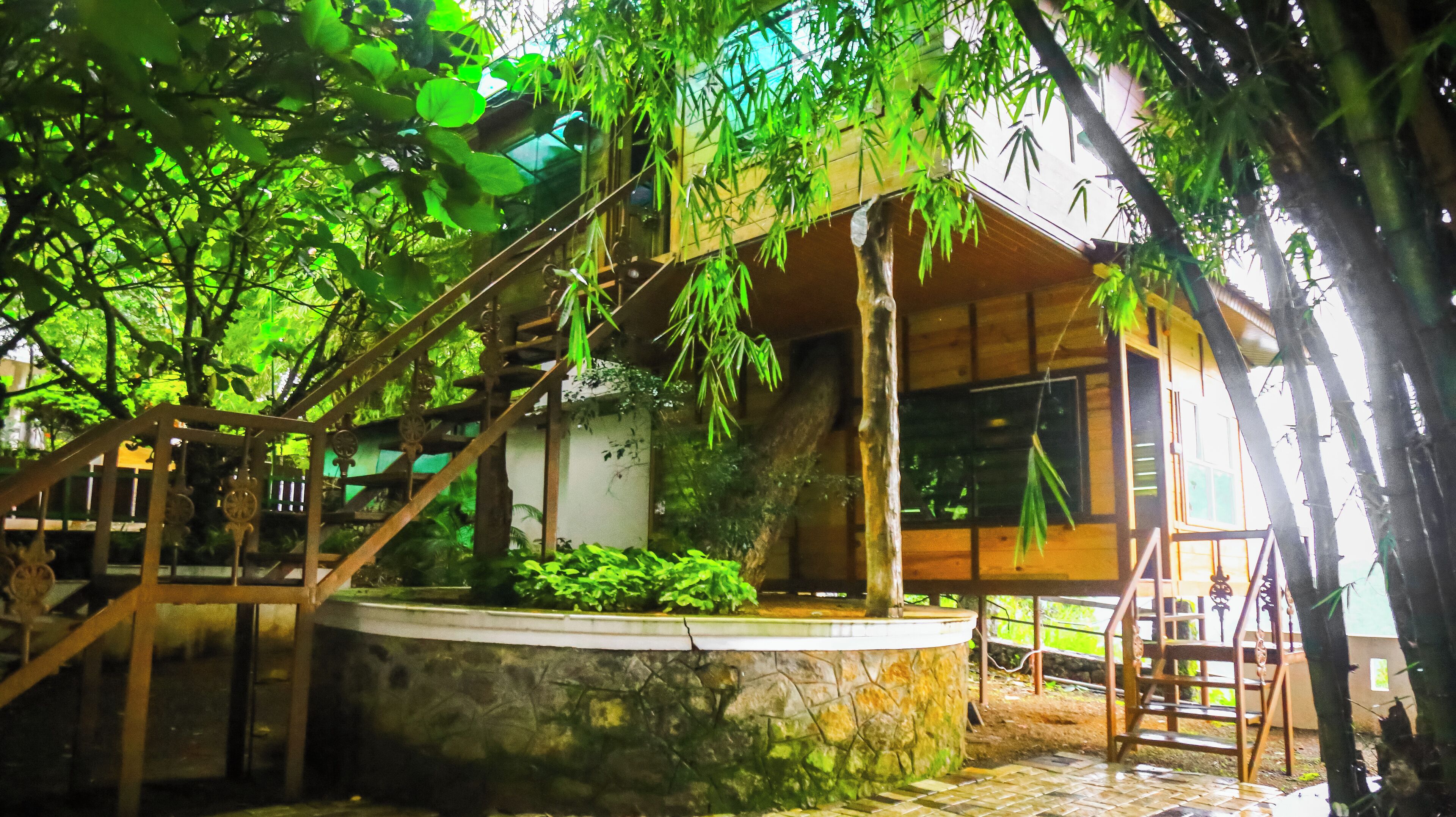 A traditional wooden structure with a stone water feature, surrounded by lush greenery and bamboo.
