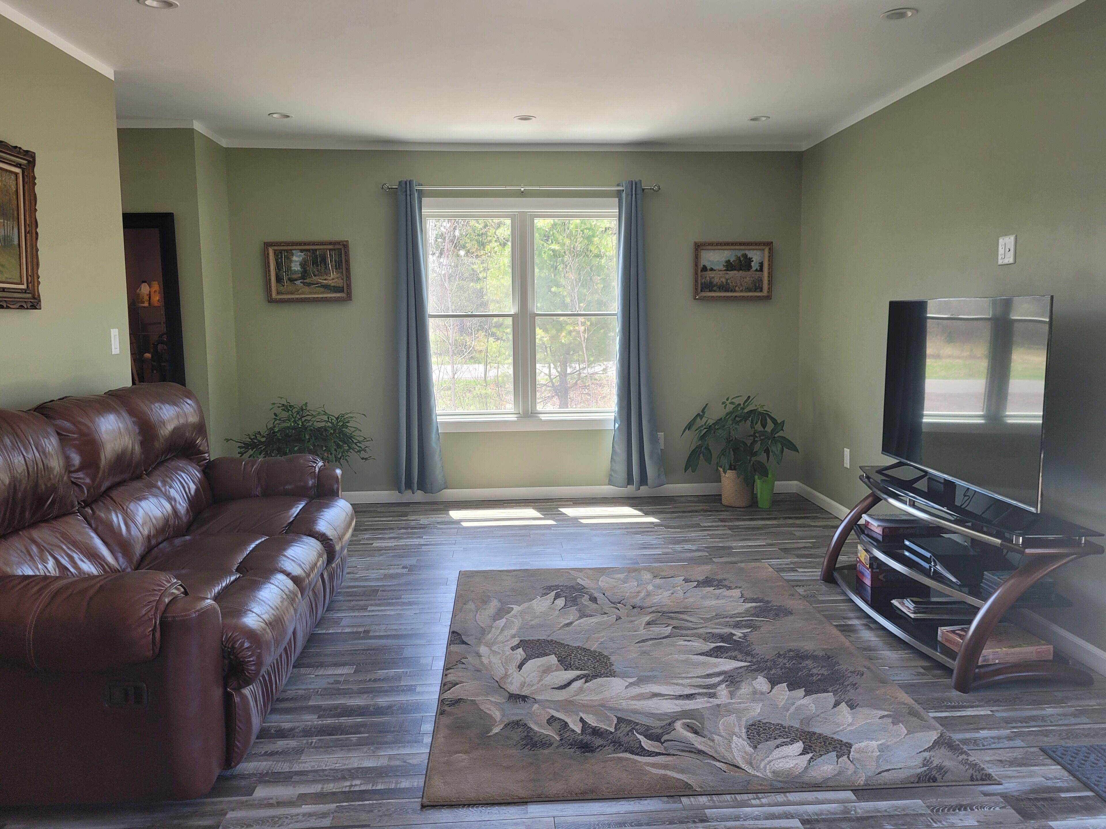 New private house with fiber optic internet near DT/MTU/golf course/shopping.