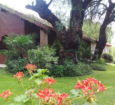 Libertad Posada y Spa