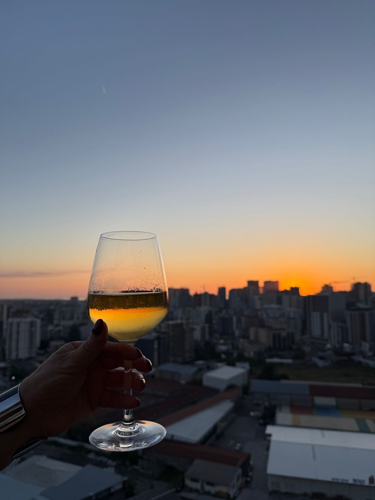 Una mano sosteniendo una copa de vino con un paisaje urbano al atardecer.