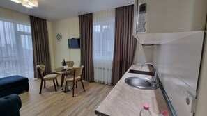 Suite ejecutiva | Minibar, tabla de planchar con plancha, camas supletorias y wifi gratis