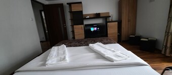Nice and cozy Apartment/near Iulius Mall