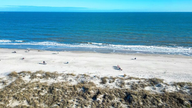 A beach with people and dogs, clear skies, and calm sea. - Sunset Rentals | Island Club 114 (Hilton Head Island)