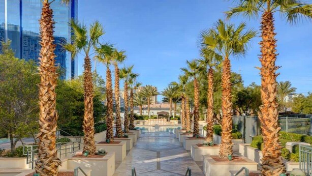 A pathway lined with palm trees leading to a pool area, with modern buildings in the background. - MGM Signature- F1 Track Jacuzzi Strip View Balcony (Las Vegas)