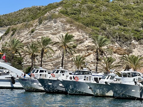 Les Hauts du Port-Appartement neuf sur le port