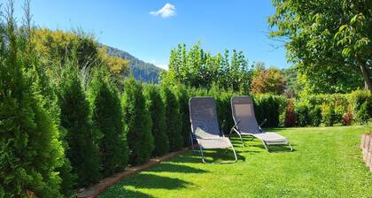 Holiday apartment Bodenwerder for 1 - 4 persons with 2 bedrooms - Holiday house
