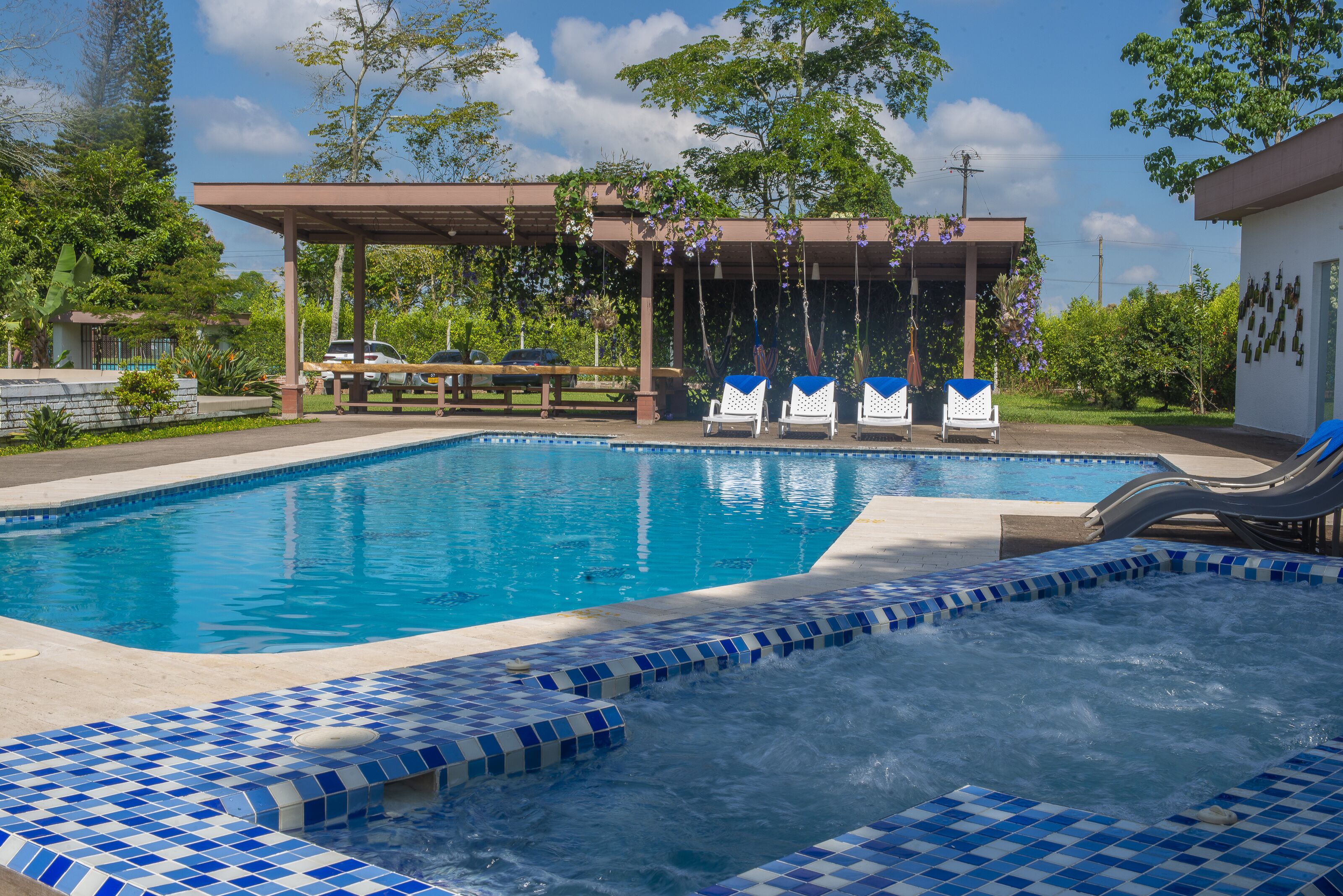 室外游泳池，提供日光浴躺椅