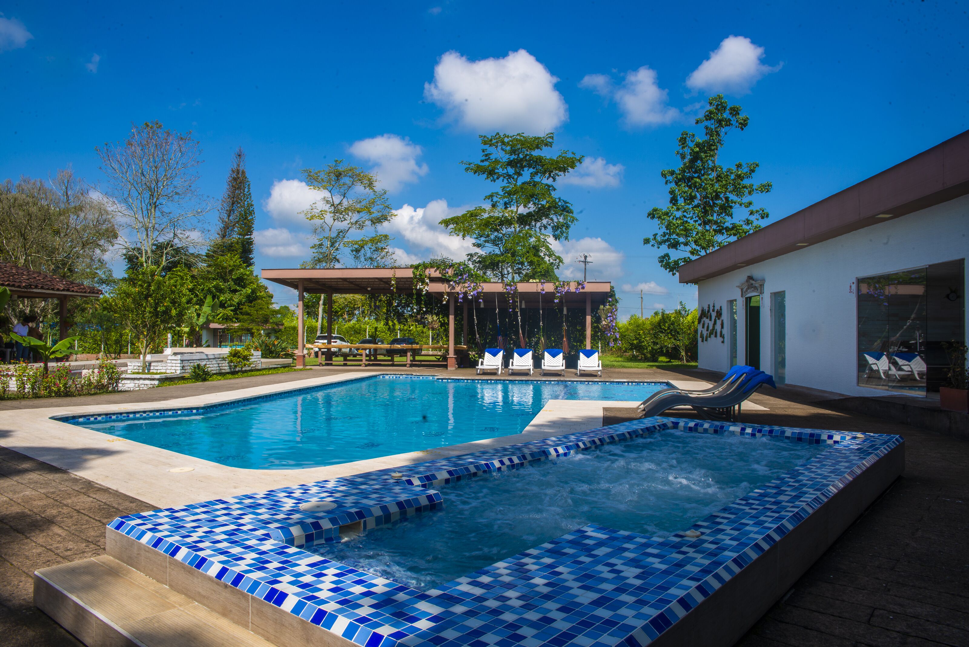 室外游泳池，提供日光浴躺椅