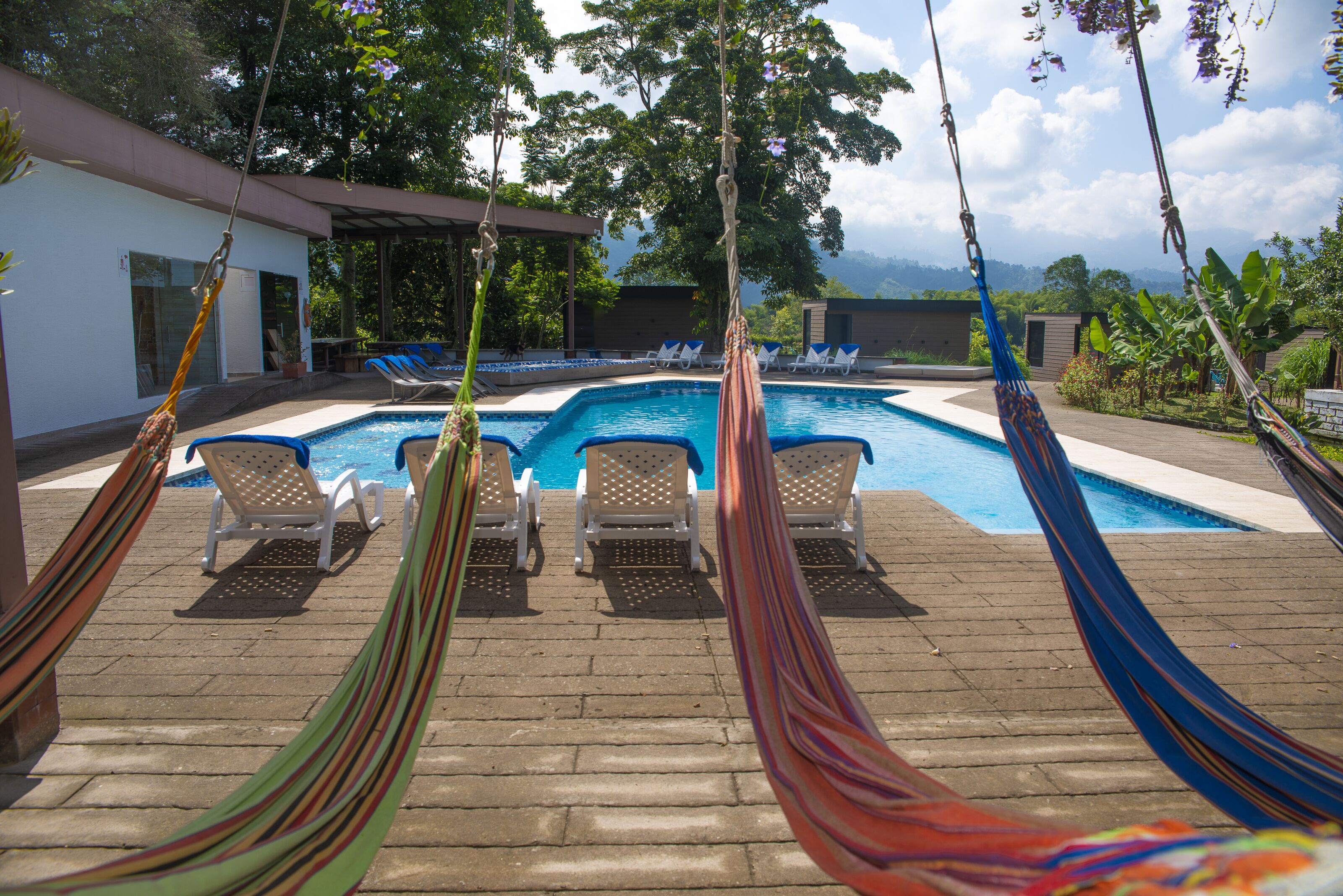 Un área de piscina con sillones de descanso y hamacas.