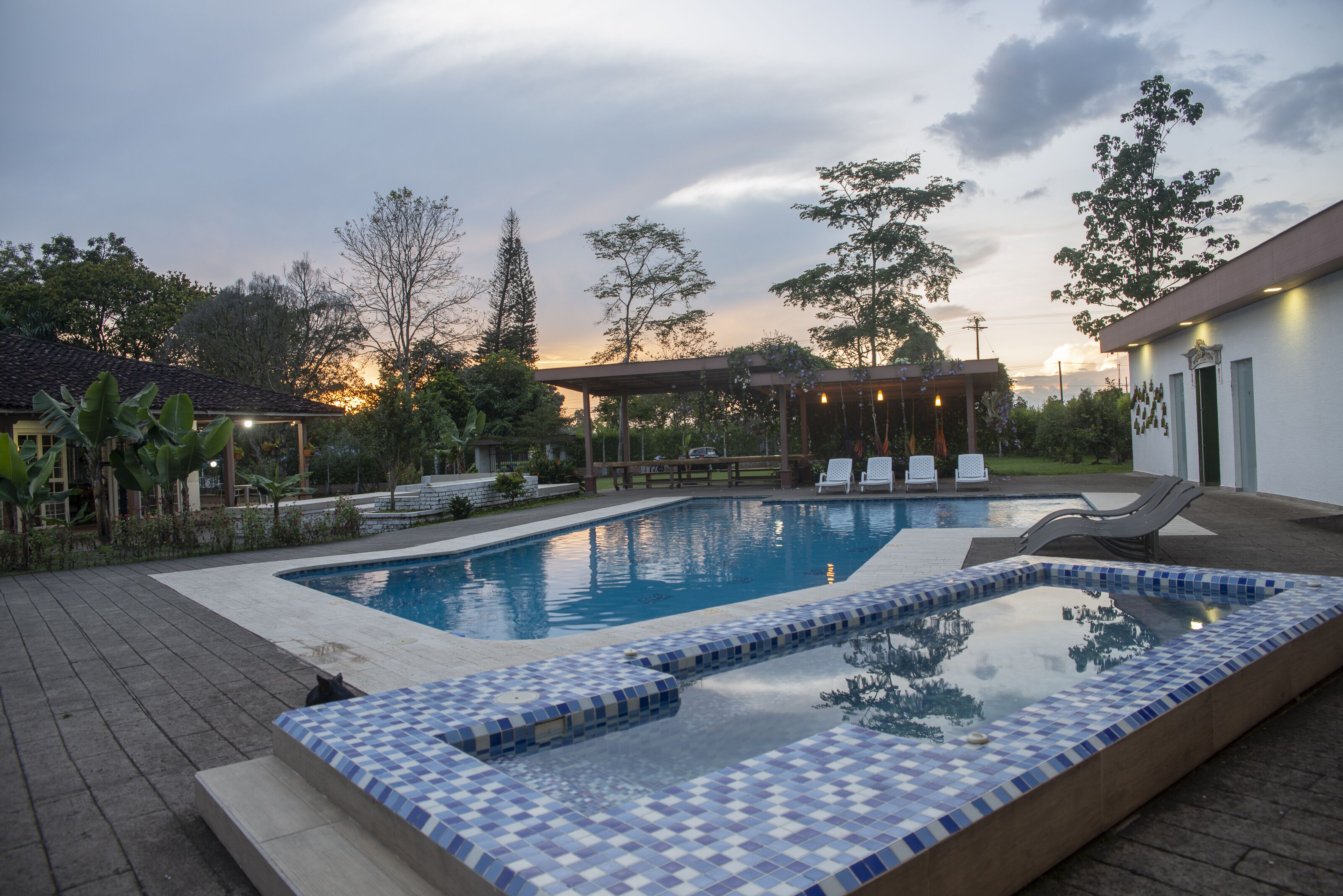 Outdoor pool, pool loungers