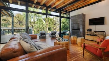 TV, fireplace