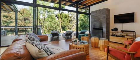 TV, fireplace, foosball