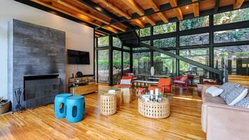 TV, fireplace