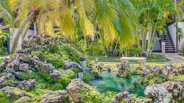 Un jardín tropical con un pequeño estanque, abundante vegetación y una escalera que conduce a un nivel superior.