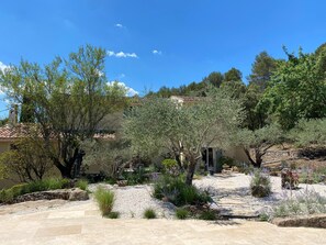 A courtyard with a stone pathway, olive trees, and a building with a tiled roof. - Charming Chic, secluded villa within walking distance from Lorgues (Lorgues)
