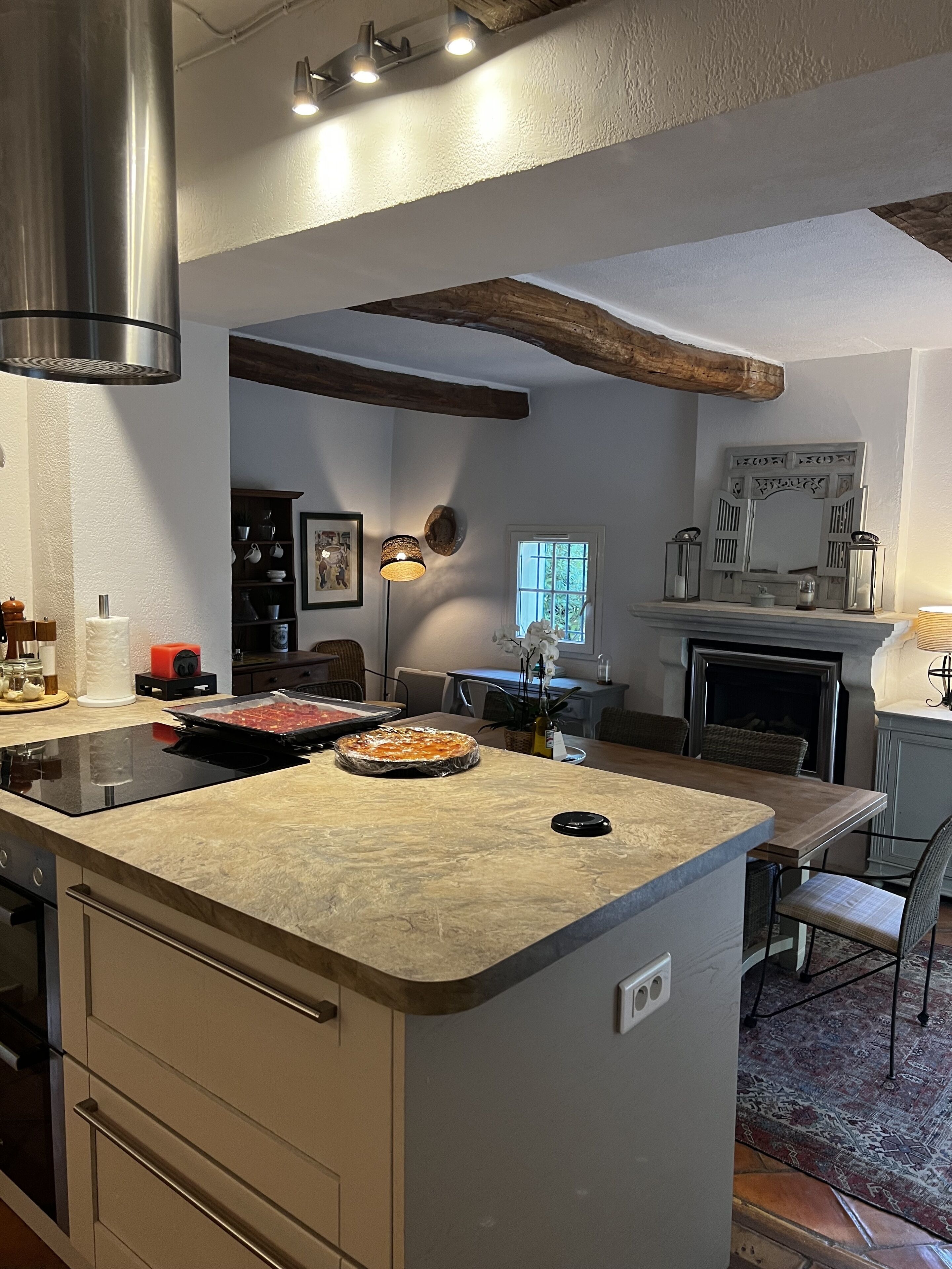 Charming, chic, secluded villa within walking distance from Lorgues