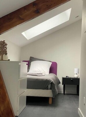 Cozy loft-style room with a bed, bedside table, and skylight.